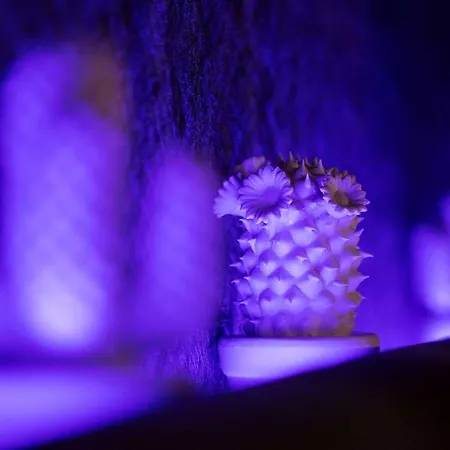 Pentahotel فندق