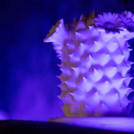 호텔 Pentahotel 4*