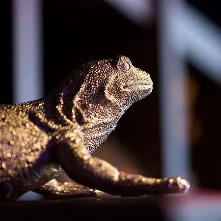 Pentahotel 4* 리에주